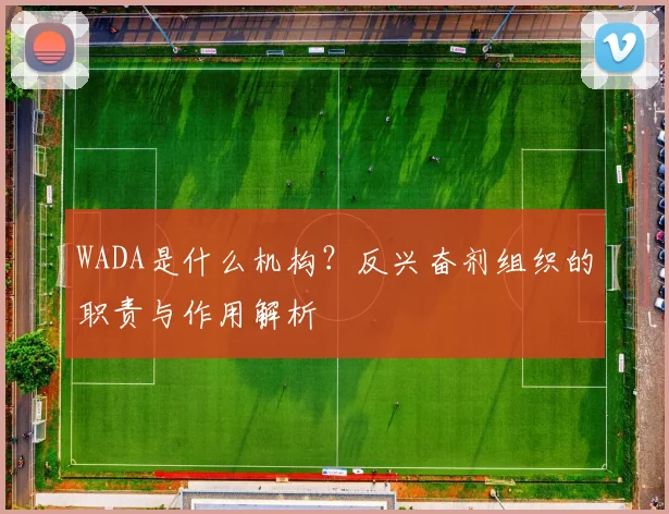 WADA是什么机构？反兴奋剂组织的职责与作用解析